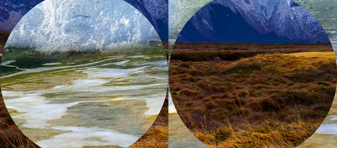 biFOCAL. Nova mostra fotogràfica a l’Ateneu